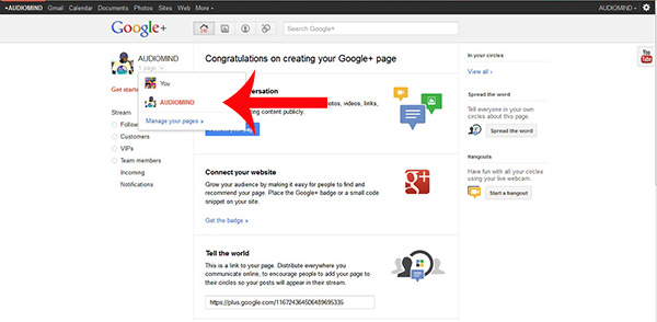 Manage Your Google+ Page